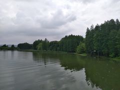 -东湖落雁景区