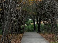 -长春世界雕塑园冰雪艺术天地