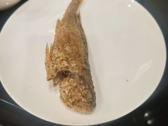 -听松楼·花园酒店·自助餐厅(红梅公园店)