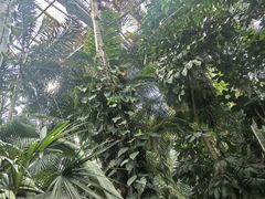 -郑州植物园