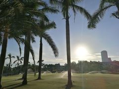 景点-白鹭洲公园