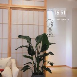 -盼兮·日式美睫沙龙