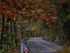 -秦岭风景区