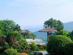 -铁山坪森林公园