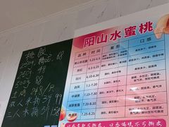 -老袁家蜜桃农场·阳山水蜜桃