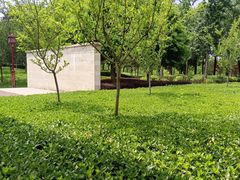 -眉山湿地公园(东坡区)