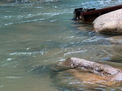 -广州白江湖森林公园