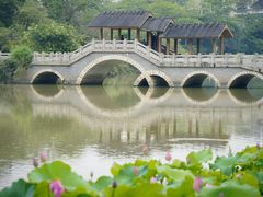-金山公园