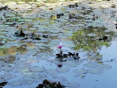 -野象谷景区