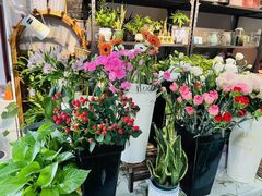 -何兮花店·气球派对鲜花店(马桥银春路万科城店)