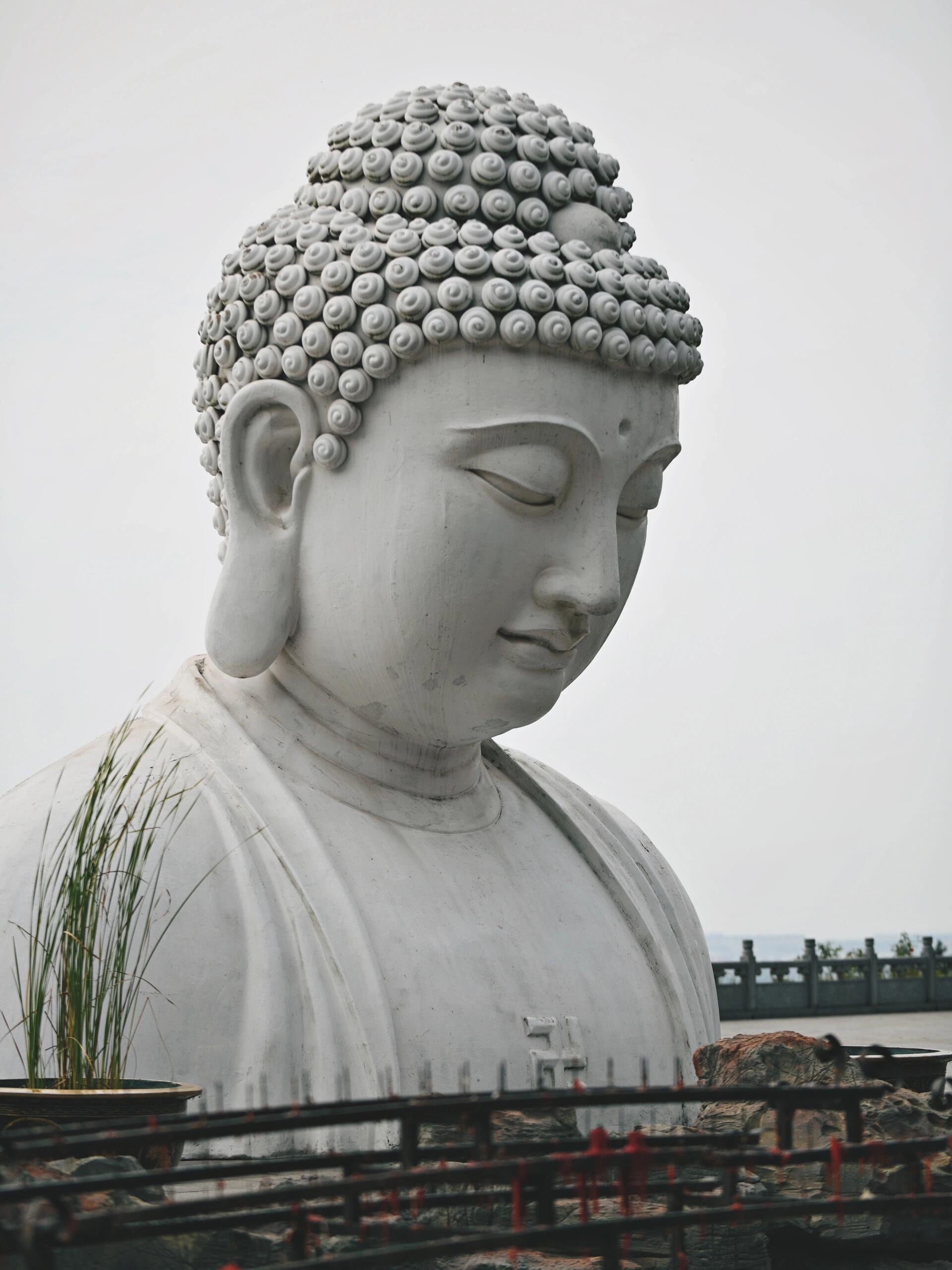 还有谁没来过南京最大半身佛像!巨震撼!