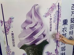 -百万葵园