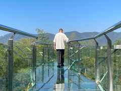 -陶祖圣境风景区