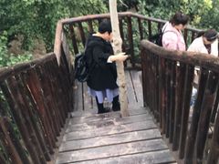 -呀路古热带植物园