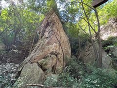 -大岭沟猕猴桃谷风景区