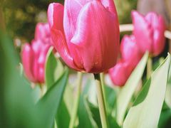 -无锡梅园公园