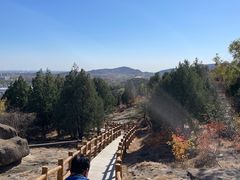 -白水寺森林公园