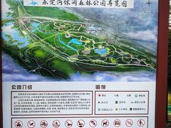 -永定河休闲森林公园