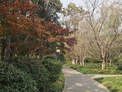 -习家池