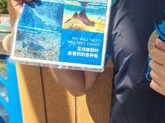 -重庆海昌加勒比海水世界