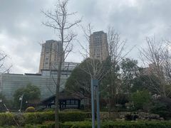 -活水公园