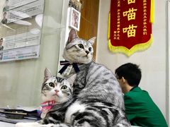 -星巴克臻选(湖滨道店)