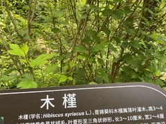 -江苏三台山国家森林公园