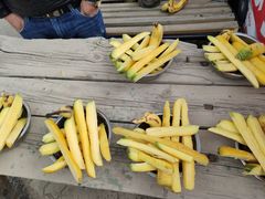 -新疆天山野生动物园