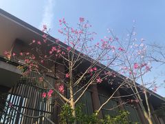 -广州都喜泰丽温泉度假酒店