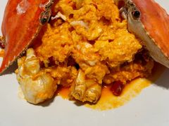 -连鹭海鲜·海肠捞饭·海胆饭(星海店)