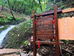 -本溪汤沟绿石谷森林公园