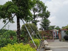 -顺德了能馆(虎门店)