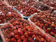 -菜园坝水果市场