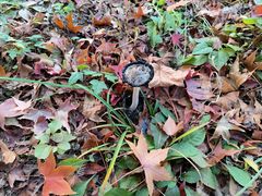 -大连罗马假日酒店温泉