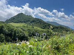 -白草畔自然风景区