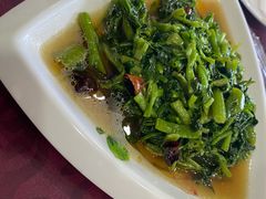 蒜蓉泉水菜-途肴·老农饭庄(百里峡店)