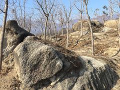 -白水寺森林公园