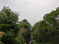 -金鸡山公园