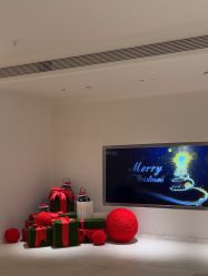 -紫御国际抗衰ZOE ANTI AGING