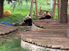 -西安秦岭野生动物园