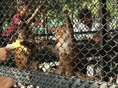 -长白岛森林公园