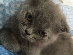 -北京博爱动物医院有限公司