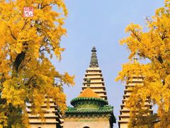 -北京石刻艺术博物馆(五塔寺)