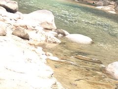 -增城大丰门漂流