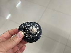 -青岛贝壳博物馆