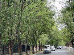 -尚庄度假村·庭台树下·户外烧烤·团建CS·轰趴营地(上庄水库店)