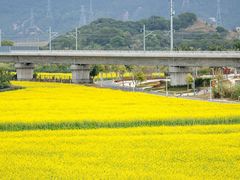 -光明小镇欢乐田园