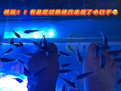 -汤连得温泉馆(宝山店)