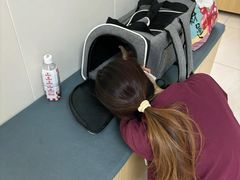 -美联众合动物医院·24h京西诊疗中心