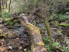 -玉渡山自然风景区